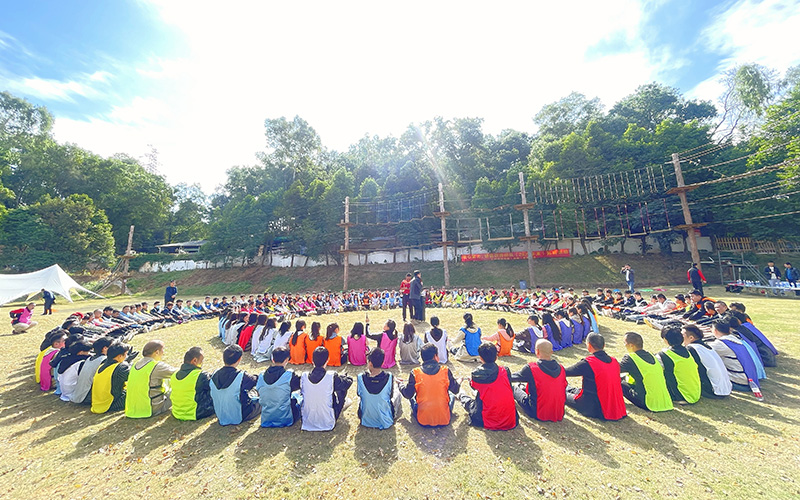Employee team building