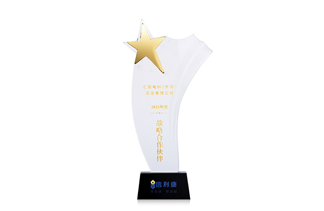 Won the Xinli Kang Strategic Partner Trophy in 2021