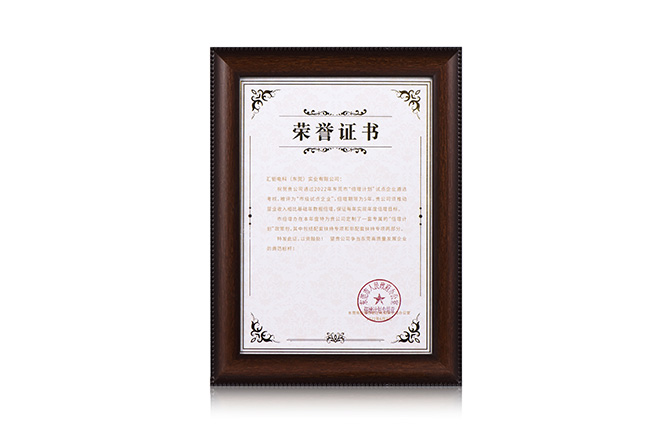 2022 Dongguan Doubling Plan and Municipal Pilot Enterprise Certificate