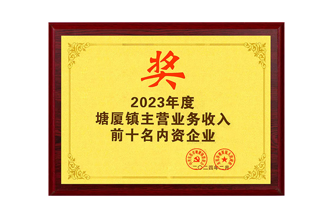 Top 10 domestic enterprises in Tangxia Town's main business revenue for the year 2023