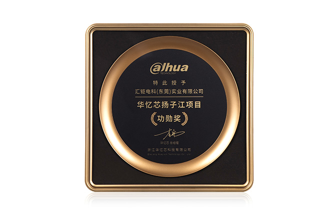 2023 Huayixin Yangtze River Project Merit Award