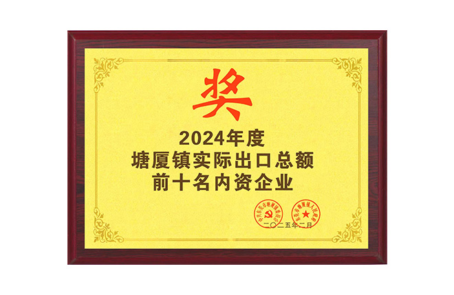 Top 10 Domestic Enterprises in Tangxia Town's Actual Export Total in 2024