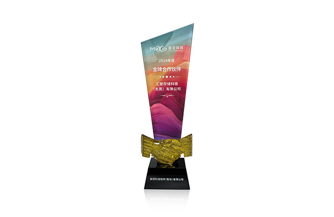 Won the Gold Medal Partner of Lianyun Technology in 2024