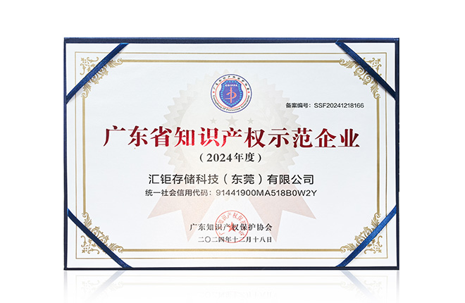 Guangdong Province Intellectual Property Demonstration Enterprise Certificate