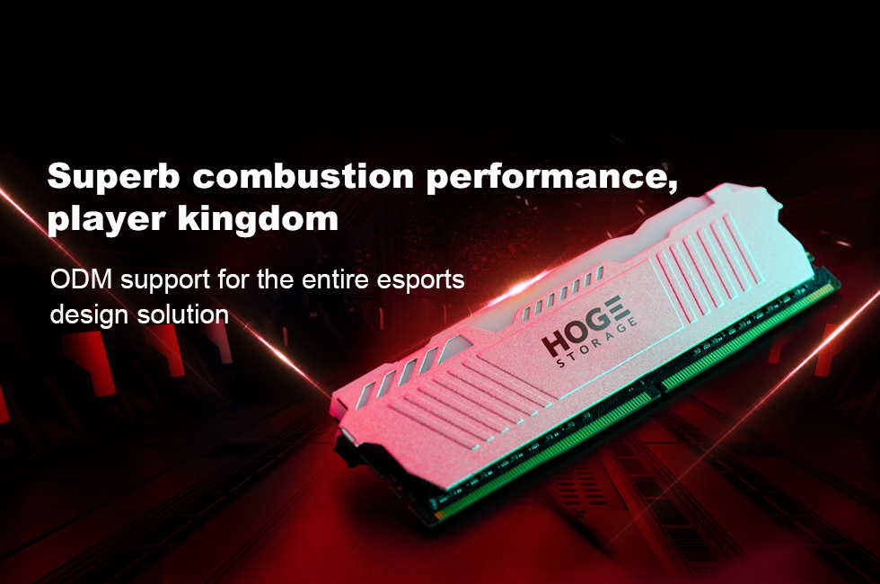 Hoge Storage Technology (Dongguan) Co., Ltd.