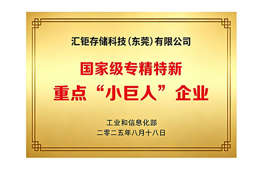 2025 National Key "Little Giant" Enterprises with Specialized, Refined, Unique and New Features
