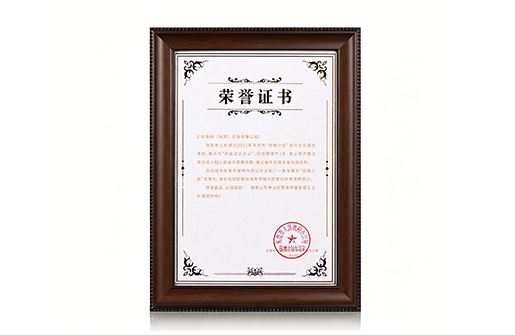 2022 Dongguan Doubling Plan and Municipal Pilot Enterprise Certificate