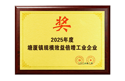 2025 Tangxia Town Industrial Enterprises with Scaled Benefit Multiplication