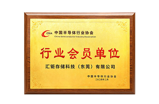 2024 China Semiconductor Industry Association Industry Member Unit