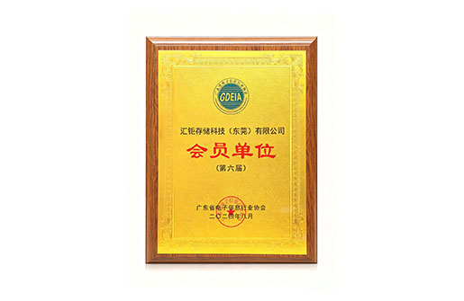 Member Unit of Guangdong Electronic Information Industry Association, 2024