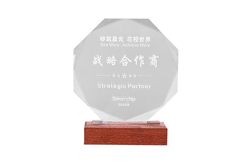 Strategic Partner, 2026