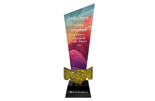 Won the Gold Medal Partner of Lianyun Technology in 2024