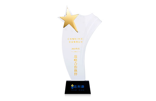 Won the Xinli Kang Strategic Partner Trophy in 2021