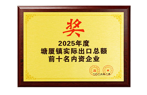 Top 10 Domestic Enterprises by Actual Total Export Volume in Tangxia Town, 2025