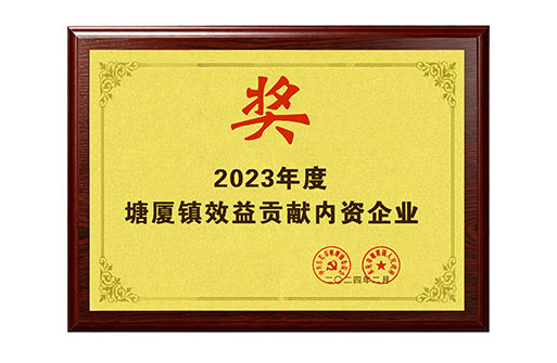 Domestic enterprises contributing to the benefits of Tangxia Town in 2023