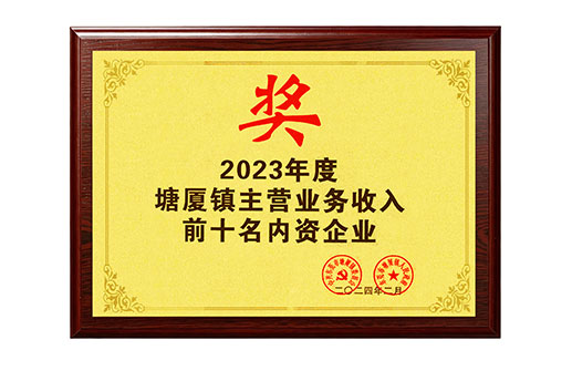 Top 10 domestic enterprises in Tangxia Town's main business revenue for the year 2023